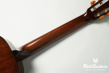 00-Nylon w/FISHMAN Matrix VT Enhance